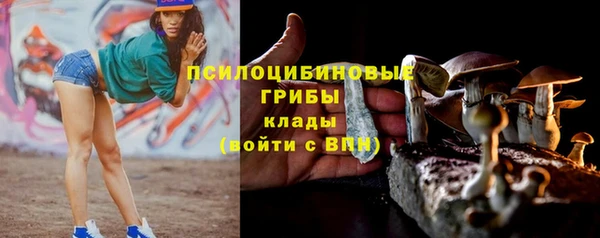круглые Аркадак